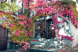 精英球队实力对决，胜负难分胜负