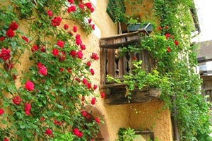 波黑力压挪威，欧国联争夺激烈升级