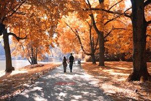 摩尔多瓦再下一城意大利惊险获胜