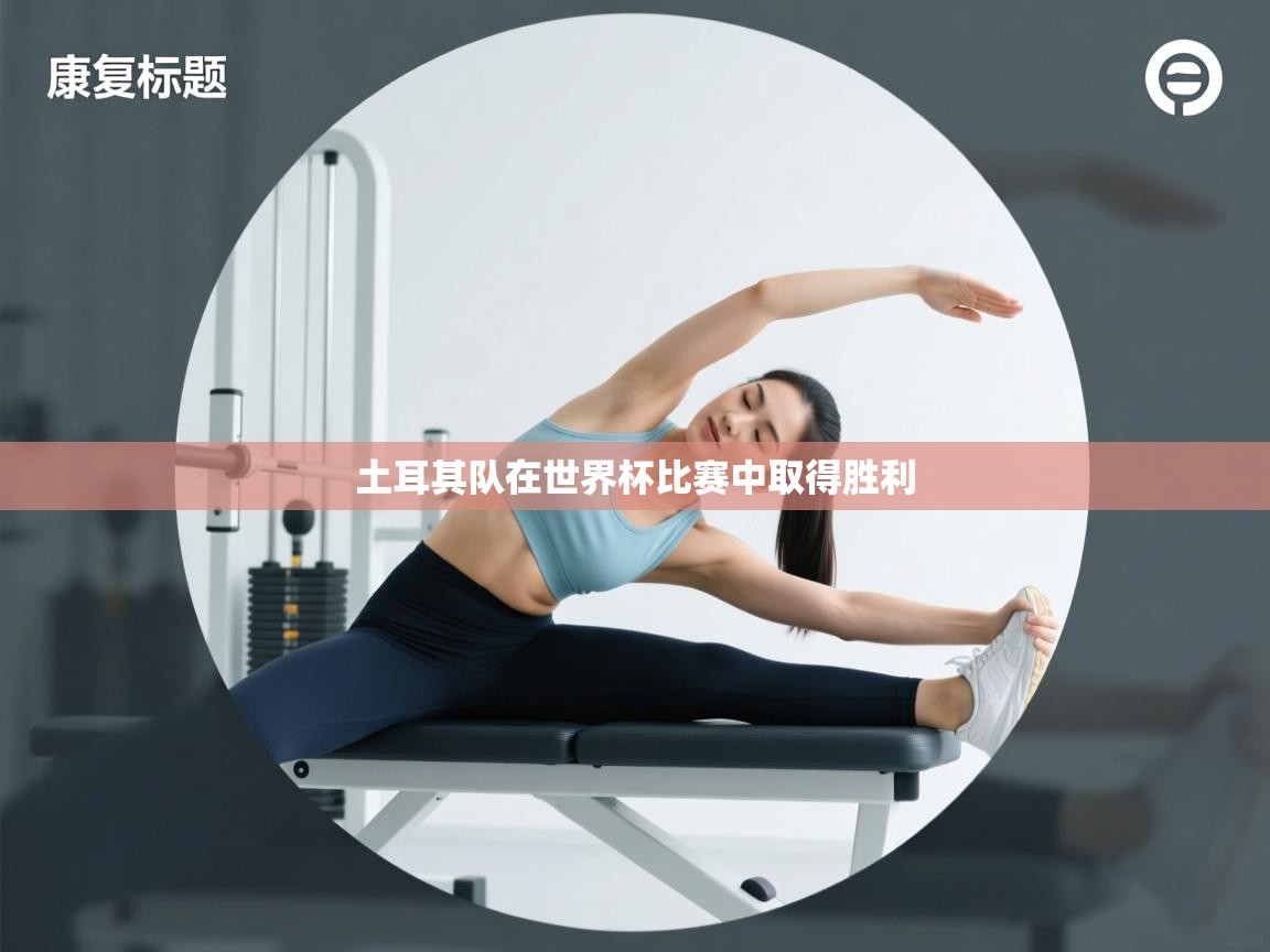 土耳其队在世界杯比赛中取得胜利  第1张