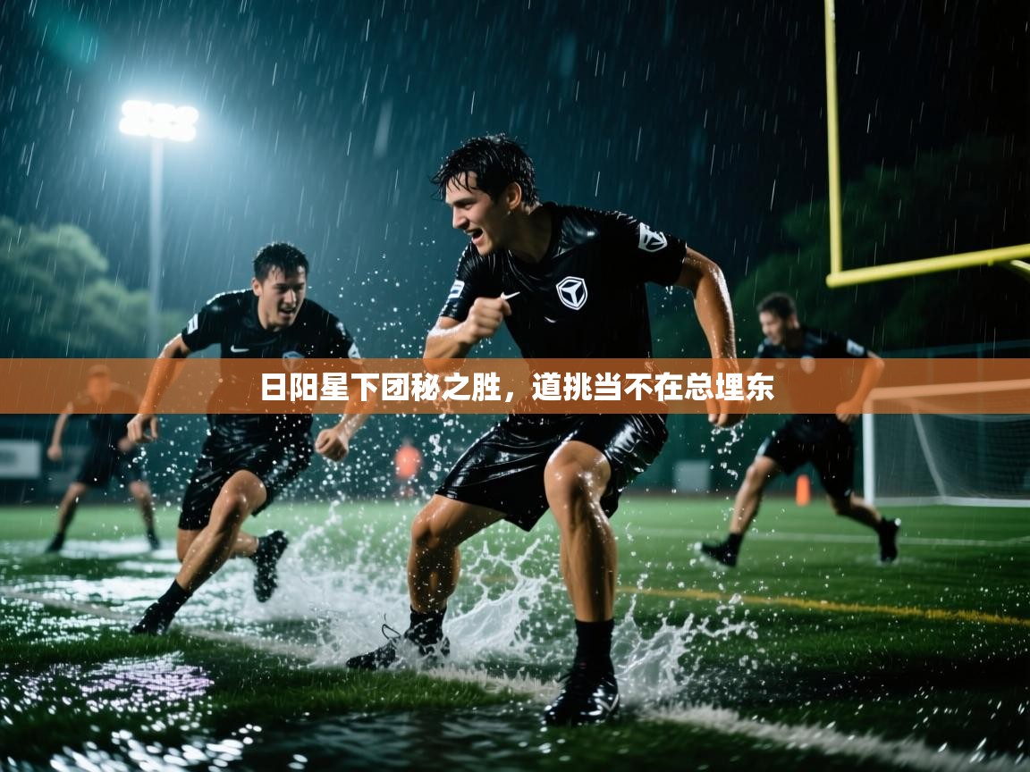 日阳星下团秘之胜，道挑当不在总埋东  第1张