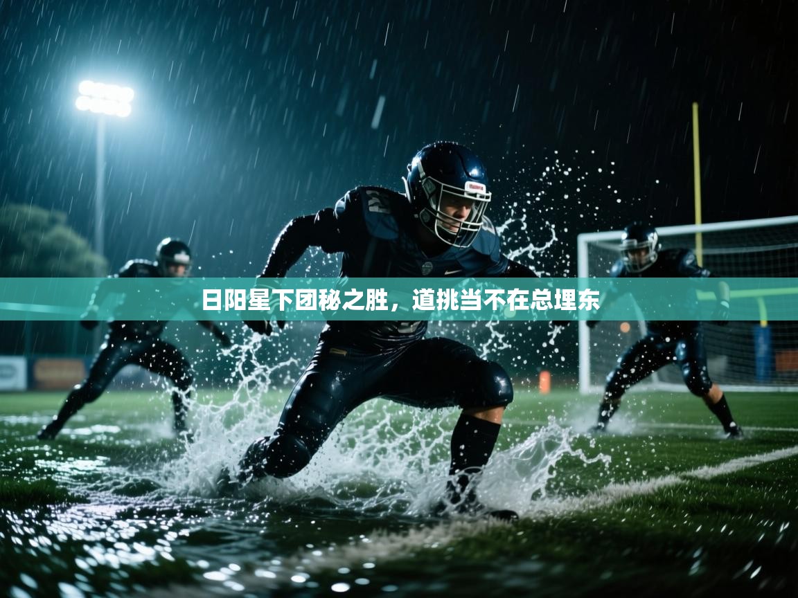 日阳星下团秘之胜，道挑当不在总埋东  第2张