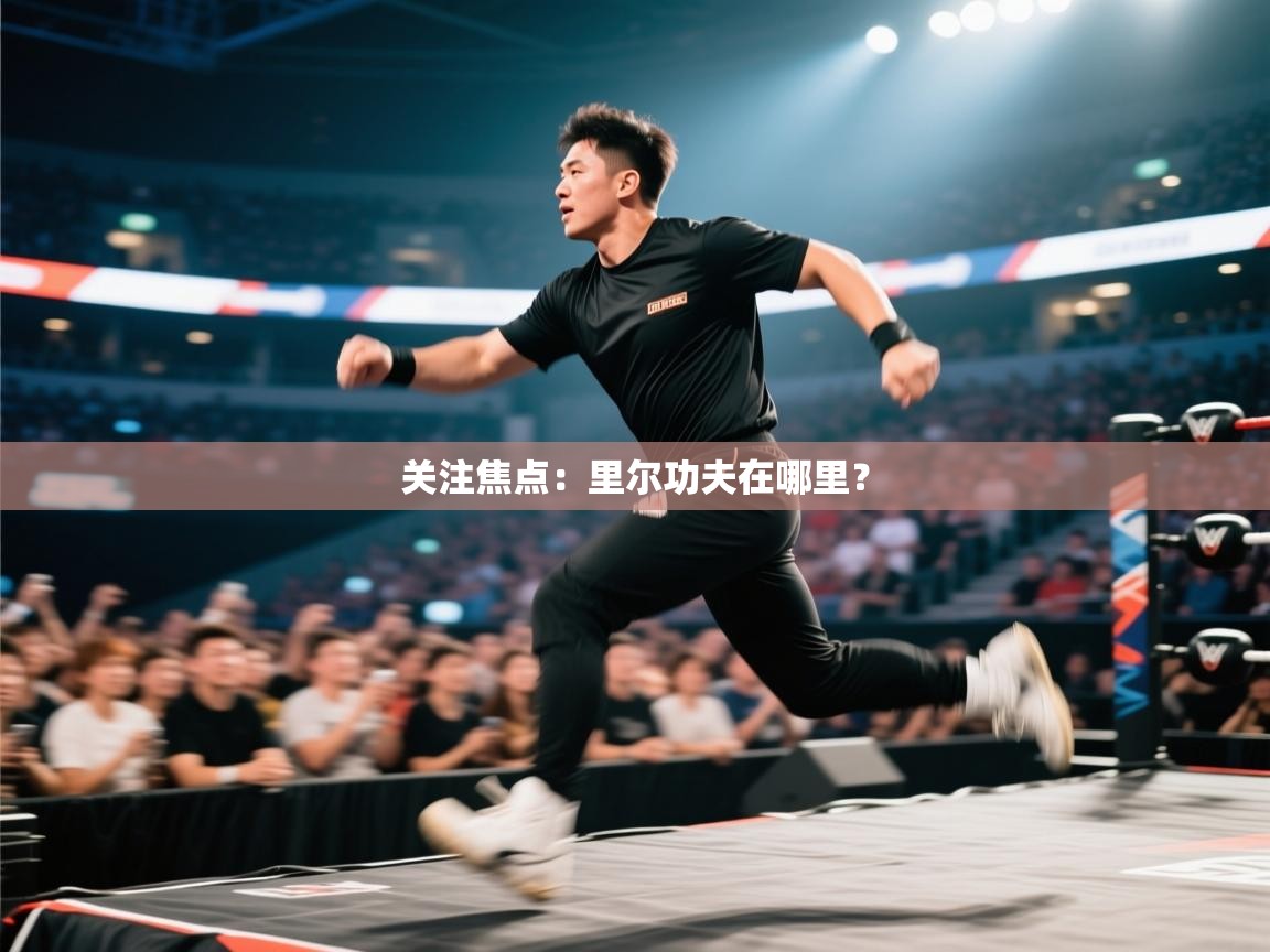 关注焦点：里尔功夫在哪里？  第2张