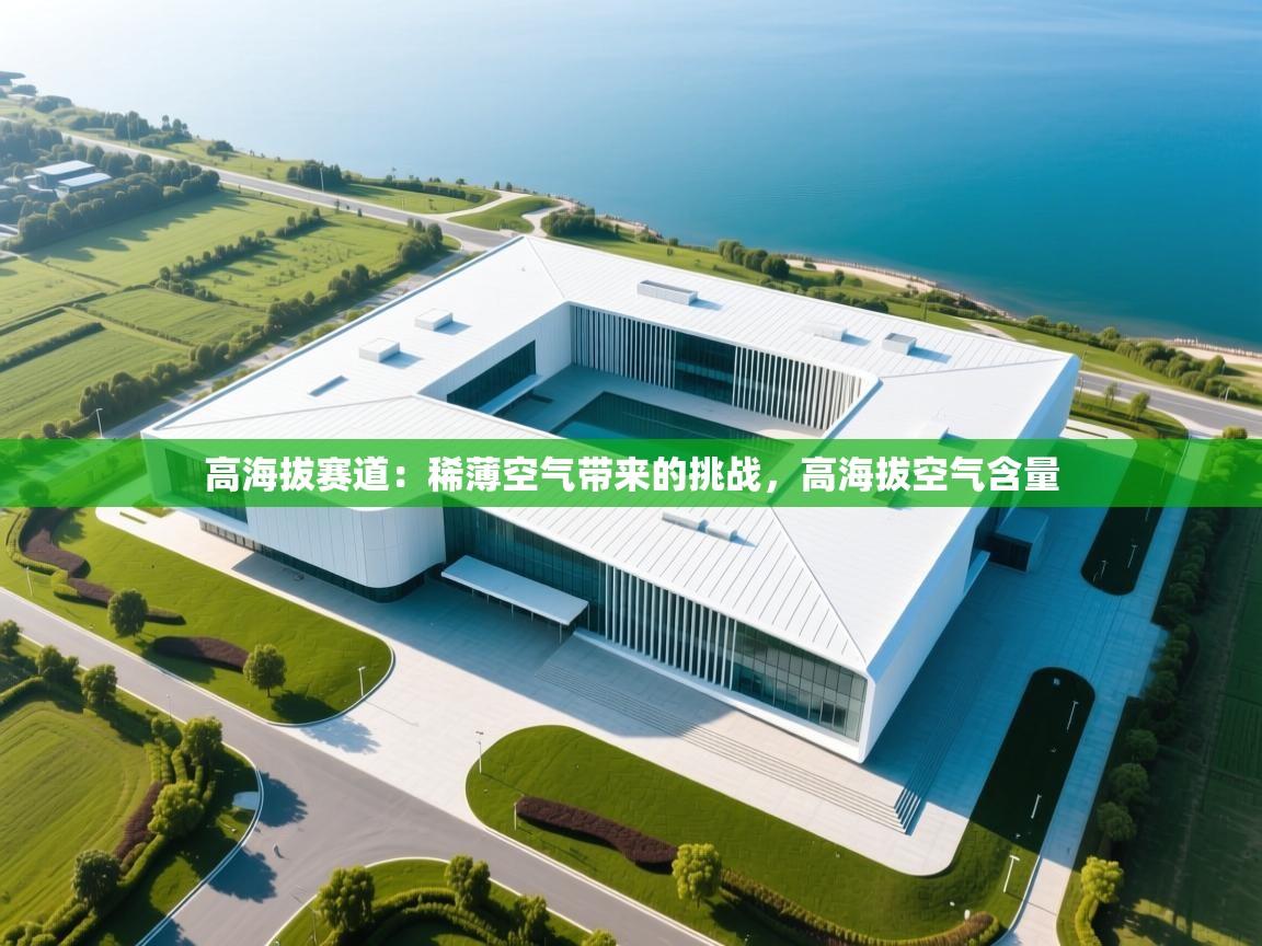 高海拔赛道:稀薄空气带来的挑战,高海拔空气含量 第2张